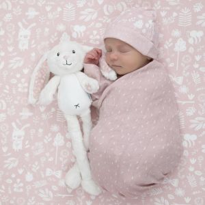 Little Dutch Kuschelfreunde